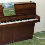 Grandaddy - Sophtware Slump.....On a Wooden Piano