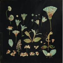 Leaving Laurel - When the Quiet Comes