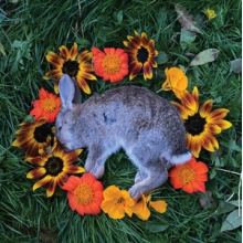 Monolord - Your Time To Shine