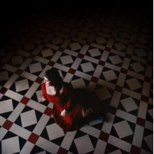 Rose Hotel - A Pawn Surrender