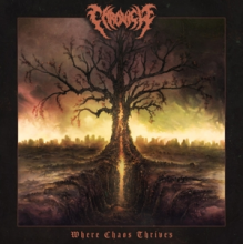 Chronicle - Where Chaos Thrives