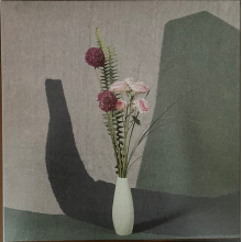 Schofield, Nick - Ambient Ensemble