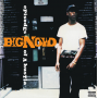Big Noyd - Episodes of a Hustla