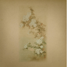 Ezra Feinberg & John Kolodij - Ezra Feinberg & John Kolodij