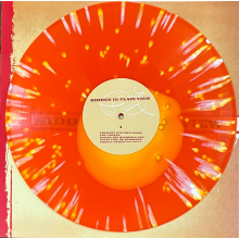 Hidden In Plain View - Hidden In Plain View