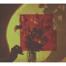 Selfishadows - Everything Changes