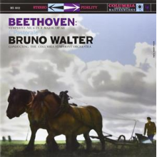 Zinman, David - Symphony No.6 In F Major Op. 68 "Pastorale"