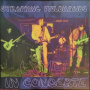 Strapping Fieldhands - Lyve: In Concerte