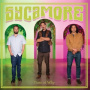 Sycamore - Time of Why