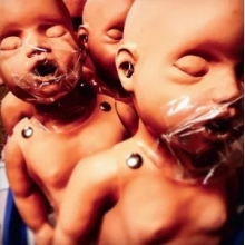 Tangled Horns - Lighter