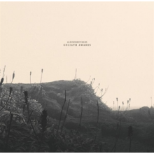 Albinobrothers - Goliath Awakes