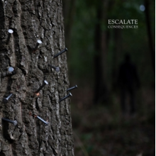 Escalate - Consequences