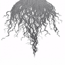 Meursault - Crow Hill