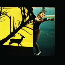 Consumer Electronics - Surge