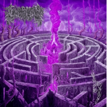 Civerous - Maze Anvy