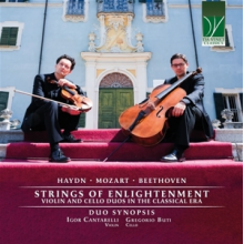 Duo Synopsis - Strings of Enlightenment