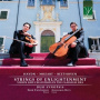 Duo Synopsis - Strings of Enlightenment