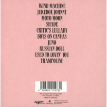 Birch, Diane - Flying On Abraham