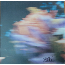 Catching Flies - Tides