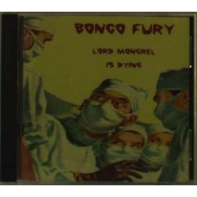 Bongo Fury - Lord Mongrel is Dying