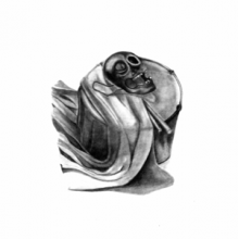 Xiu Xiu - Unclouded Sky