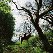 Lambert, Ekhi - Inbasioak