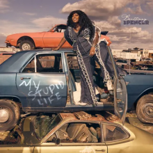 Spencer, Brittney - My Stupid Life