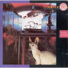 Midnight Oil - Species Deceases