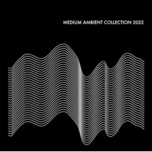 V/A - Medium Ambient Collection 2022