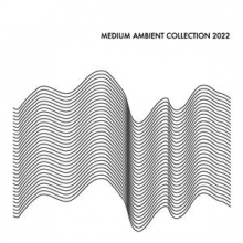 V/A - Medium Ambient Collection 2022