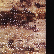 Anglagard - Buried Alive