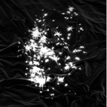 Peals - Walking Field