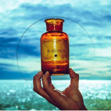 Blackfield - V