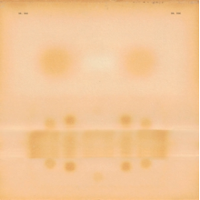 Dr. Dog - Dr. Dog