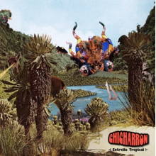 Chicharron - Estrella Tropical