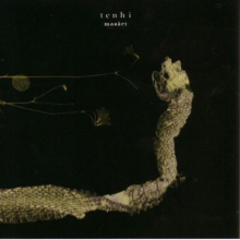 Tenhi - Maaaet