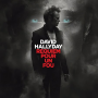 Hallyday, David - Requiem Pour Un Fou