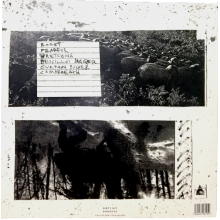 404 Guild - Guild One