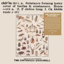 Chitinous Ensemble - Chitinous
