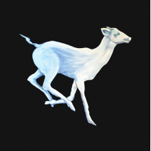 Cloud Cafe - Gift Horse