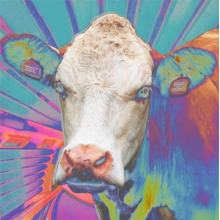 Eyes of Others - Eyes of Others