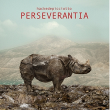 Hackedepicciotto - Perseverantia