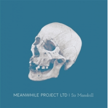Meanwhile Project Ltd - Sir Mandrill