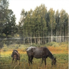 Pianos Become the Teeth - Old Pride