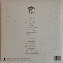 Menzingers - After the Party