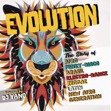 V/A - Evolution the Story of Afro Fu
