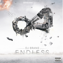 DJ Brans - Endless
