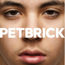 Petbrick - I