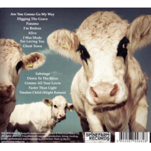 Steve 'N' Seagulls - Grainsville