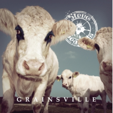 Steve 'N' Seagulls - Grainsville